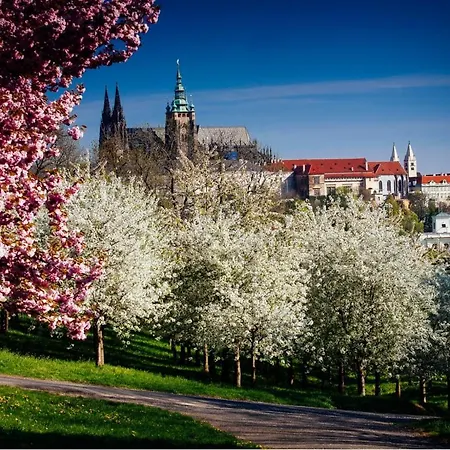Vintage Apts In Heart Of Prague By Michal&Friends Exterior photo